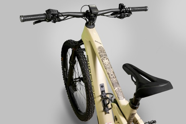 DualDylan-006 - Voll-Rahmen-Schutz-Set