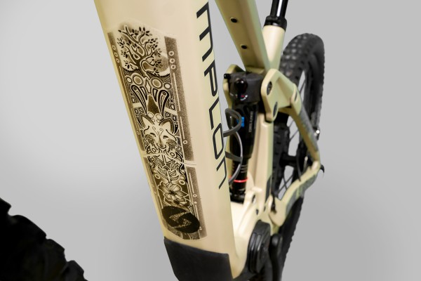 DualDylan-006 - Voll-Rahmen-Schutz-Set